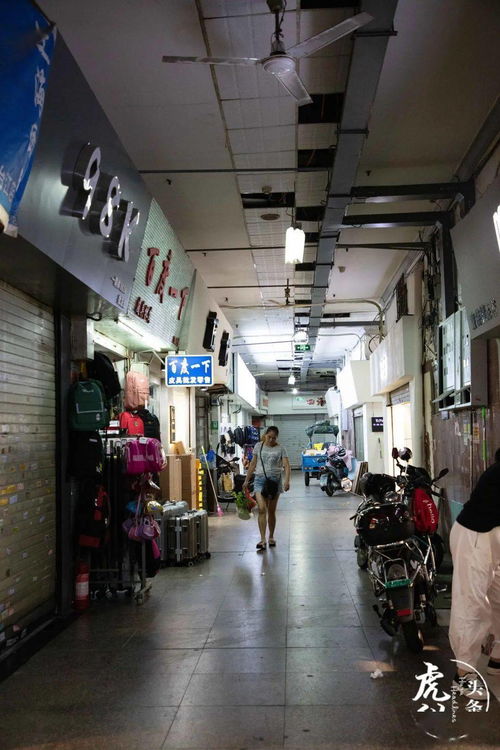 只有3 的福州人才会去的小商品批发市场,100块钱随便淘 收藏